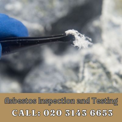 Comprehensive Asbestos Inspection and Testing Services in West Ewell